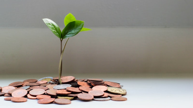 Muntstukken en groeiend plantje